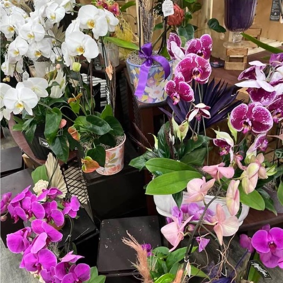 #12 Micheal Kors Crimson Sparkle Dress. Size: M - Picture 7 of 8